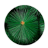 Arvore De Natal Verde 120cm