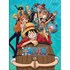 Caderno Broch Cd Un One Piece 80f Tilibra