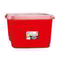 Caixa Organizadora 20l Rischioto 6123