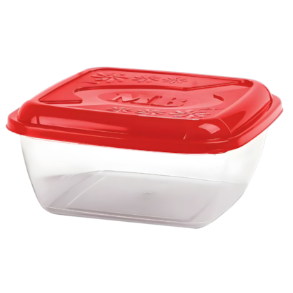 Caixa Organizadora Quad Everyday 1,5lt Mb 3717