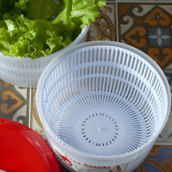 Centr¿fuga Seca Saladas 4,2L Grande Cores Sortidas