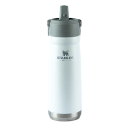Garrafa Term Flip St Polar 651ml Stanley 8081