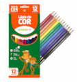 Lapis 12 Cores Sext Ecologico Leo E Leo