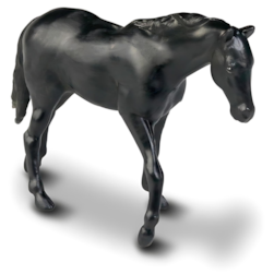 Pick-up Rx Haras Roma