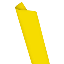 Placa Eva Color 40cmx48cm Amarelo Leo E Leo