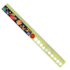 REGUA DE PLASTICO DOBRAVEL 15CM/30CM DINO SPACE LEO E LEO 10264