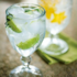 Ta¿a Bristol Agua 340ml Nadir