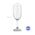 TACA GALLANT CHAMPANHE 180ML NADIR - CX 12 UNIDADES