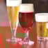 TACA WINDSOR CERVEJA 330ML NADIR - CX 12 UNIDADES