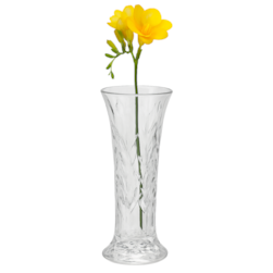 Vaso 5,5cm x 15cm de Vidro Coliseu