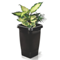 Vaso Coluna Preto 4,1lt Ercaplast 2217