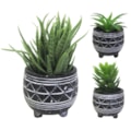 Vaso De Cimento Bonsai Fwb 96097
