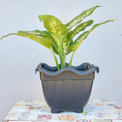 Vaso Flor Qd Grande Preto Injeplastec 341r