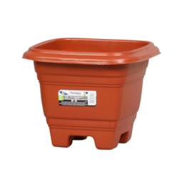 Vaso Qd N17