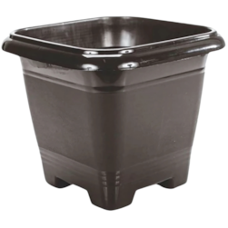 Vaso Qd N17 Preto Rischioto