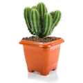 Vaso Qd N22 Marrom Rischioto 9449