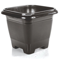 VASO QD PT 2L ERCAPLAST